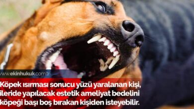 Köpek ısırması sonucu yüzü yaralanan kişi, ileride yapılacak estetik ameliyat bedelini köpeği başı boş bırakan kişiden isteyebilir.