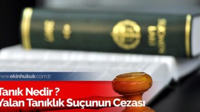 Tanık Nedir?